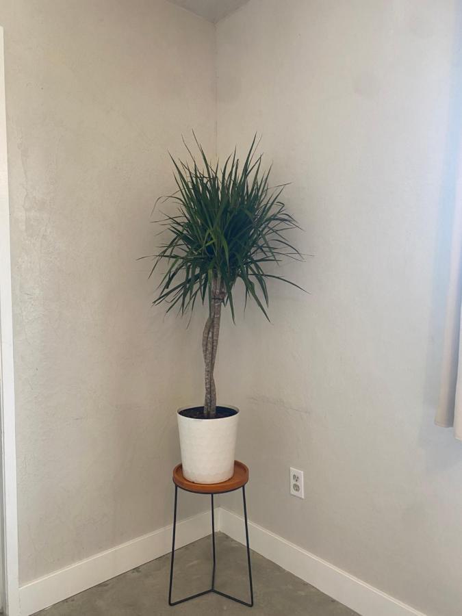 Villa Casa Del Desierto - Panoramic Views - Pet Friendly - Fire Pit Joshua Tree Exterior foto
